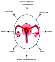 Fertil Gynecol Androl